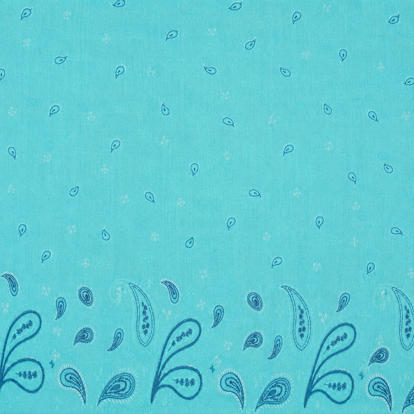 Aqua Blue & Dark Blue Paisley Border Print Fabric