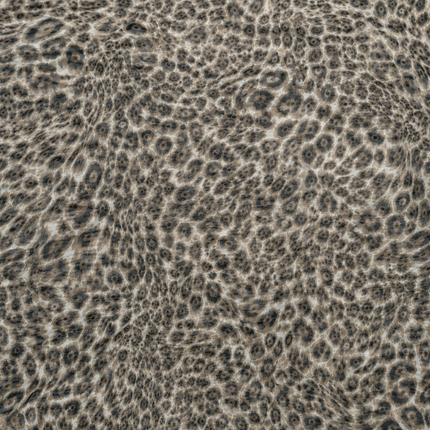 Cream & Dark Grey Leopard Spots Print Fabric — design DS-23, Clothwala