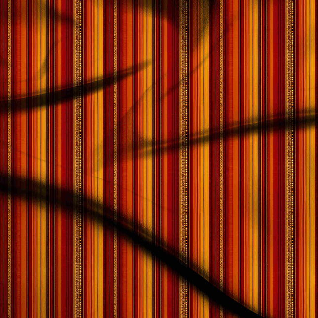 Burnt Sienna Stripes Digital Print Fabric | Lehenga Anarkali Co-Ord | Festive ethnic wear | Royal Indian ensembles | Maximalist floral fusion | Crimson Velvet Floral - 1233