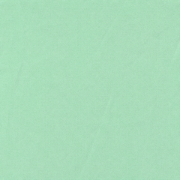 Mint Green Solid Poly Georgette Fabric